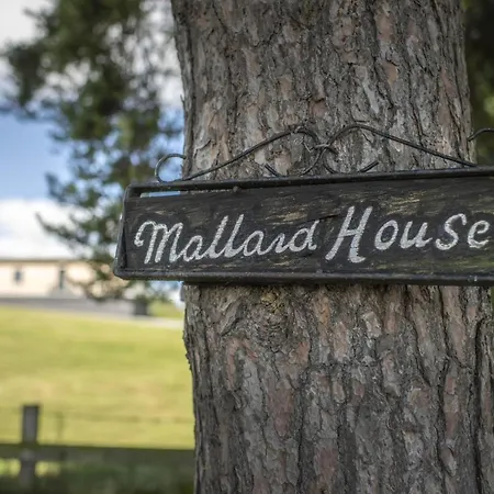 Casa de Férias Mallard House *